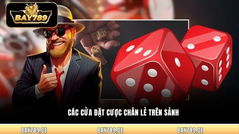 Các cửa đặt cược Chẵn Lẻ trên sảnh