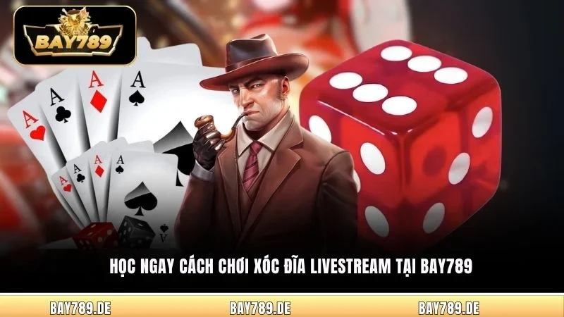 Học ngay cách chơi Xóc Đĩa Livestream tại Bay789